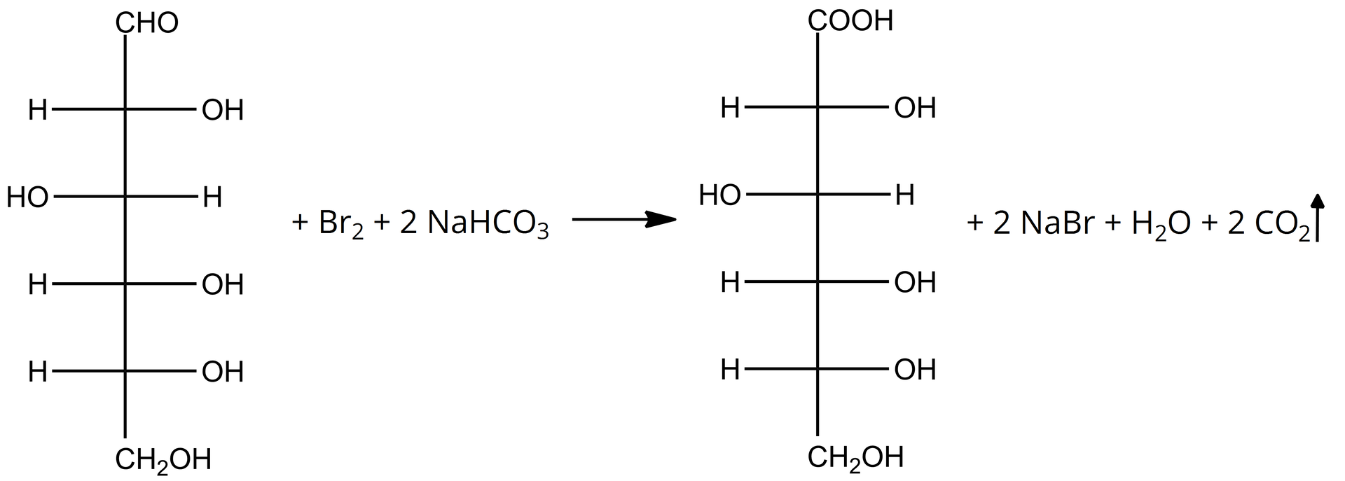 Na ilustracji znajduje się równanie reakcji: cząsteczka glukozy dodać B r 2 dodać N a H C O 3 , strzałka w prawo, powstaje jedna cząsteczka kwasu glukonowego dodać dwie cząsteczki NaBr, woda, dwie cząsteczki dwutlenku węgla. W tej reakcji grupa aldehydowa CHO ulega utlenieniu do grupy karboksylowej COOH.