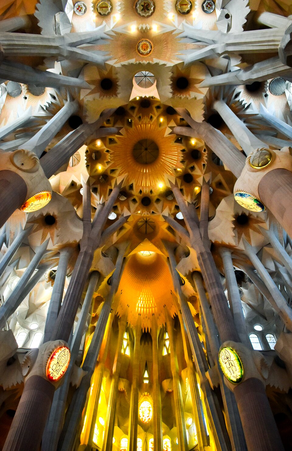 Ilustracja przedstawia wnętrze katedry Sagrada Família. Ukazuje wysokie, rozgałęziające się kolumny, które unoszą złożone sklepienie o geometrycznych i gwiaździstych wzorach. Światło przenikające przez kolorowe witraże tworzy na kamiennych powierzchniach miękkie przejścia barw, od złotych i pomarańczowych tonów po chłodne błękity. Górna część apsydy sprawia wrażenie lekkiej i dynamicznej, jakby sklepienie unosiło się nad kolumnami niczym świetlista korona.
