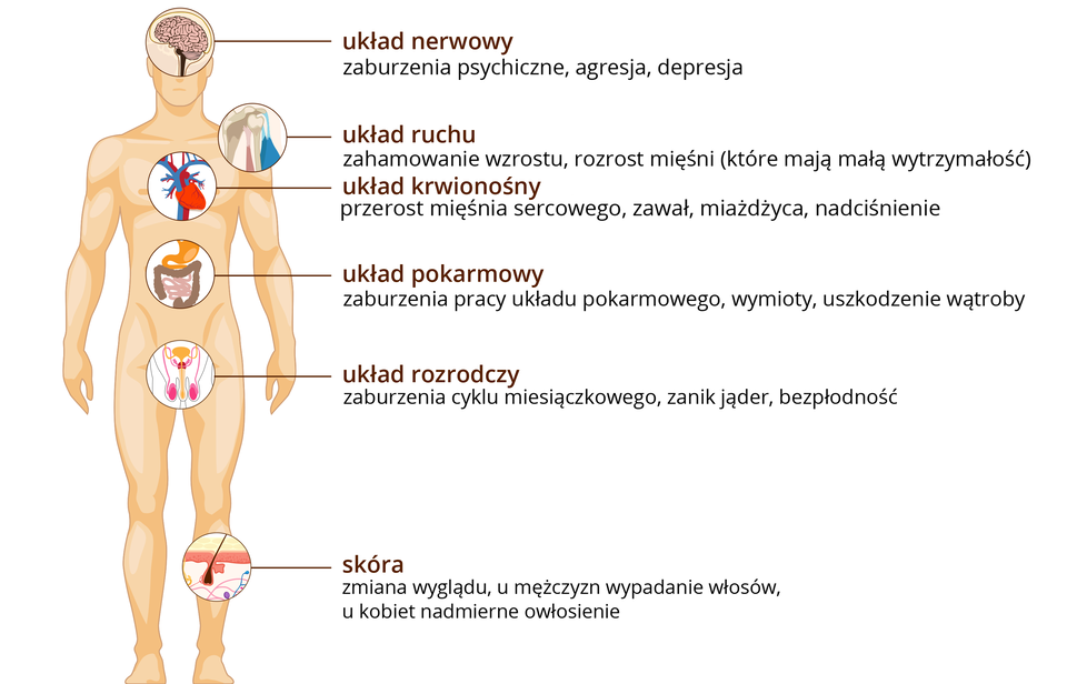 Ilustracja przedstawia pomarańczowa sylwetkę stojącego mężczyzny. W odpowiednich miejscach wrysowano powiększenia narządów, na które wpływa doping. Od góry: rysunek mózgu, opis: układ nerwowy – zaburzenia psychiczne, agresja, depresja. Niżej staw barkowy, podpis: układ ruchu – zahamowanie wzrostu, rozrost mięśni. W klatce piersiowej rysunek serca, podpis: układ krwionośny – przerost mięśnia sercowego, zawał, miażdżyca, nadciśnienie. W brzuchu fragment jelit, podpis: układ pokarmowy – zaburzenia pracy, wymioty, uszkodzenie wątroby. Niżej różowy schemat układu rozrodczego i podpis – zaburzenia cyklu miesiączkowego, zanik jąder, bezpłodność. Na nodze rysunek przekroju przez skórę z włosem, podpis: skóra – u mężczyzn wypadanie włosów, u kobiet nadmierne owłosienie.
