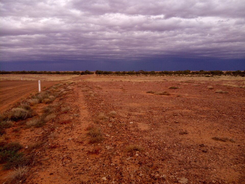 Zdjęcie przedstawia Pustynię Simpsona w Australii. Po horyzont biegnie szeroki teren, który składa się z czerwonego piasku i kamieni. Na styku ziemi z niebem występuje skąpa pustynna roślinność, a po lewej stronie kadru rosną niewielkie kępy traw. 