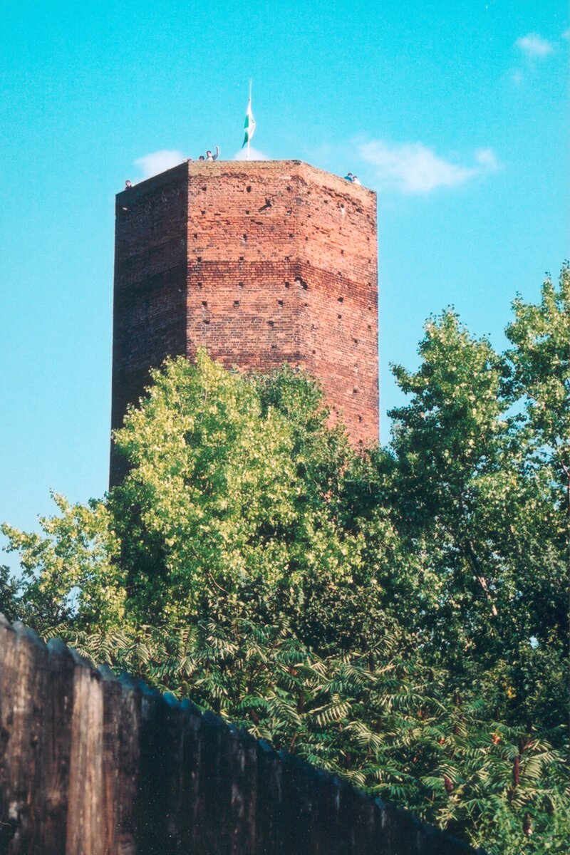 Kolorowa fotografia przedstawia Mysią Wieżę w Kruszwicy na tle niebieskiego, bezchmurnego nieba, w otoczeniu drzew. Jest to 32 metrowa, sześciokątna budowla z cegły, pozostałość po zamku. Na ścianach wieży znajdują się małe otwory, wielkości cegły, rozmieszczone regularnie od góry do dołu. Na czubku umieszczono maszt z flagą Polski, widać kilku turystów, którzy weszli na górę. 