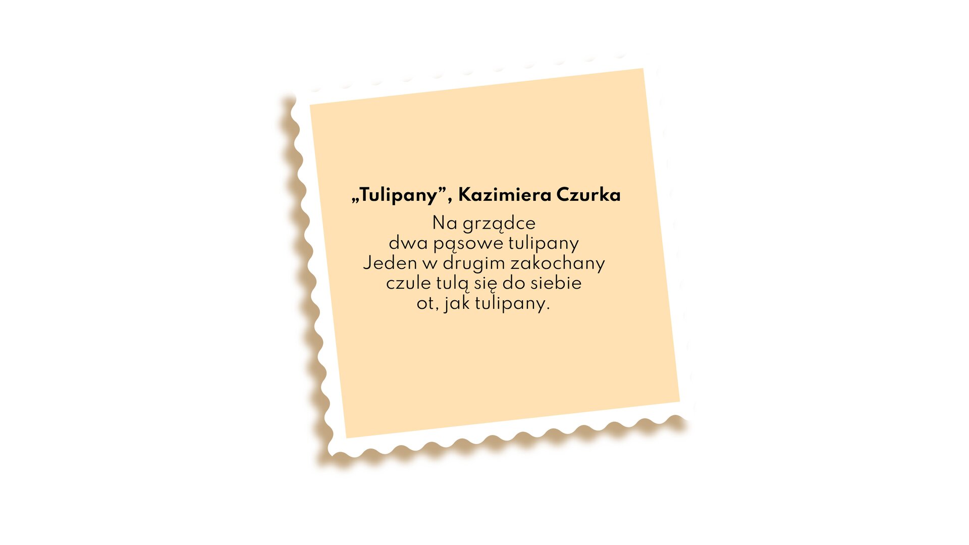 Na ilustracji znajduje się tekst wiersza Kazimiery Czurki zatytułowany „Tulipany”: Na grządce dwa pąsowe tulipany. Jeden w drugim zakochany, czule tulą się do siebie ot, jak tulipany.