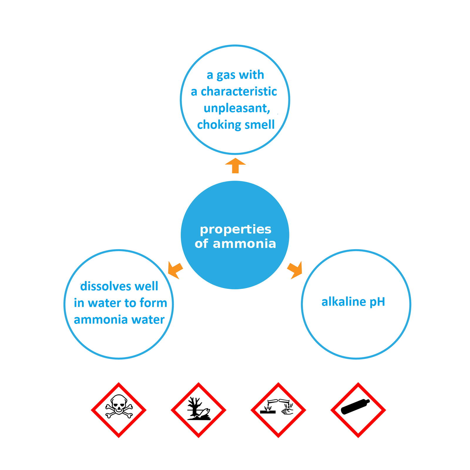 Ilustracja przedstawia właściwości amoniaku. 1. Gaz z charakterystycznym, duszącym nieprzyjemnym zapachem. 2. rozpuszcza się w wodzie  tworząc wodę amoniakalną 3. zasadowe ph. Na ilustracji znajdują się anglojęzyczne napisy 1. dissolves well in water to form ammonia water, 2. a gas with a characteristic unpleasant choking smell, 3. alkaline pH.