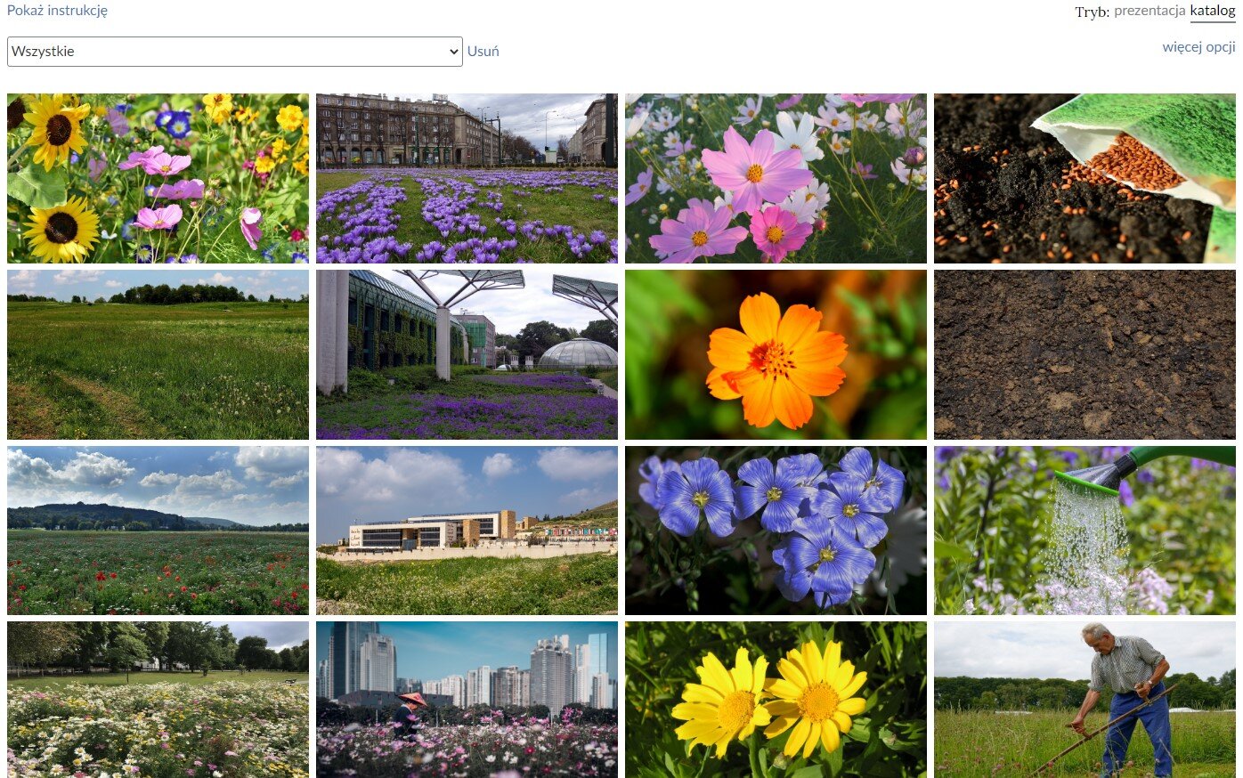 Przykładowy widok galerii zdjęć. Znajduje się tu szesnaście kafelków ze zdjęciami przedstawiającymi różne typy łąk. Nad kafelkami, w lewym, górnym rogu znajduje się przycisk "Pokaż instrukcję", a pod nim lista rozwijana i w niej hasło "Wszystkie". W prawym, górnym rogu nad kafelkami znajduje się tryb: prezentacja katalog, a pod nim przycisk "więcej opcji".