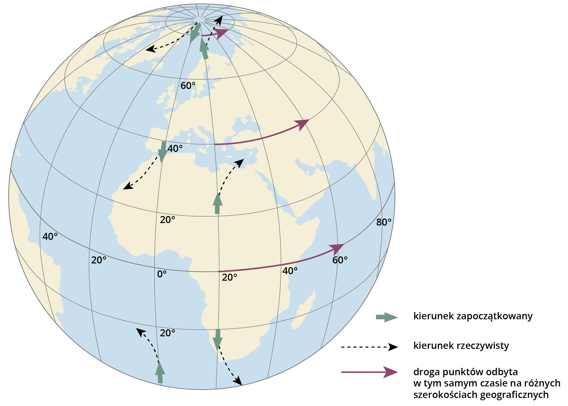 Rysunek przedstawia kulę ziemską z konturami kontynentów. Zaznaczone są wartości kolejnych południków: 20, 40, 60 i 80 stopni na wschód, południk 0 oraz 20 i 40 stopni na zachód. Natomiast równoleżniki to 20 stopni na południe oraz 20, 40 i 60 stopni na północ. Widoczny tez jest biegun północny. Na równiku, równoleżniku 40 stopni oraz 80 stopni narysowane są strzałki z zachodu na wschód oznaczające drogę punktów odbytą w tym samym czasie na różnych szerokościach geograficznych. Strzałki narysowane wzdłuż południka 0 i południka 20 stopni oznaczają kierunek zapoczątkowany a strzałki odchylone od południków ruch rzeczywisty między innymi wiatrów, prądów morskich oraz pocisków. Na półkuli północnej strzałki oznaczające ruch rzeczywisty odchylone są w prawo, na półkuli południowej w lewo.