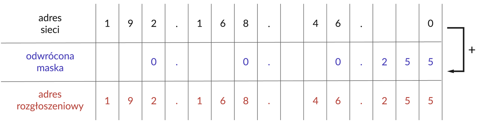Ilustracja przedstawia adresy: adres sieci, odwrócona maska, adres rozgłoszeniowy. Adresy zostały podzielone na poszczególne bity. Adres sieci: 192.168.46.0, Odwrócona maska: 0.0.0.255, adres rozgłoszeniowy: 192.168.46.255