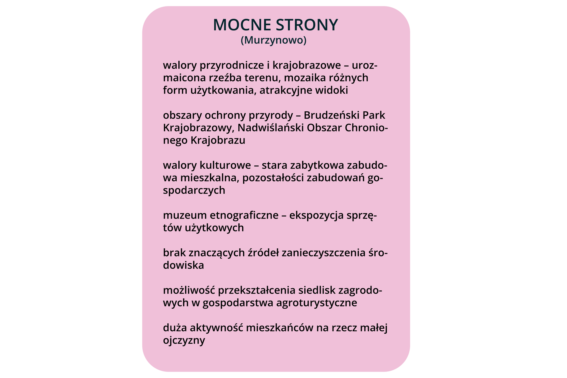 Plansza tekstowa o treści. MOCNE STRONY (Murzynowo); walory przyrodnicze i krajobrazowe - urozmaicona rzeźba terenu, mozaika różnych form użytkowania, atrakcyjne widoki; obszary ochrony przyrody - Brudzeński Park Krajobrazowy, Nadwiślański Obszar Chronionego Krajobrazu; walory kulturowe - stara zabytkowa zabudowa mieszkalna, pozostałości zabudowań gospodarczych; muzeum etnograficzne - ekspozycja sprzętów użytkowych; brak znaczących źródeł zanieczyszczenia środowiska; możliwość przekształcenia siedlisk zagrodowych w gospodarstwa agroturystyczne; duża aktywność mieszkańców na rzecz małej ojczyzny.