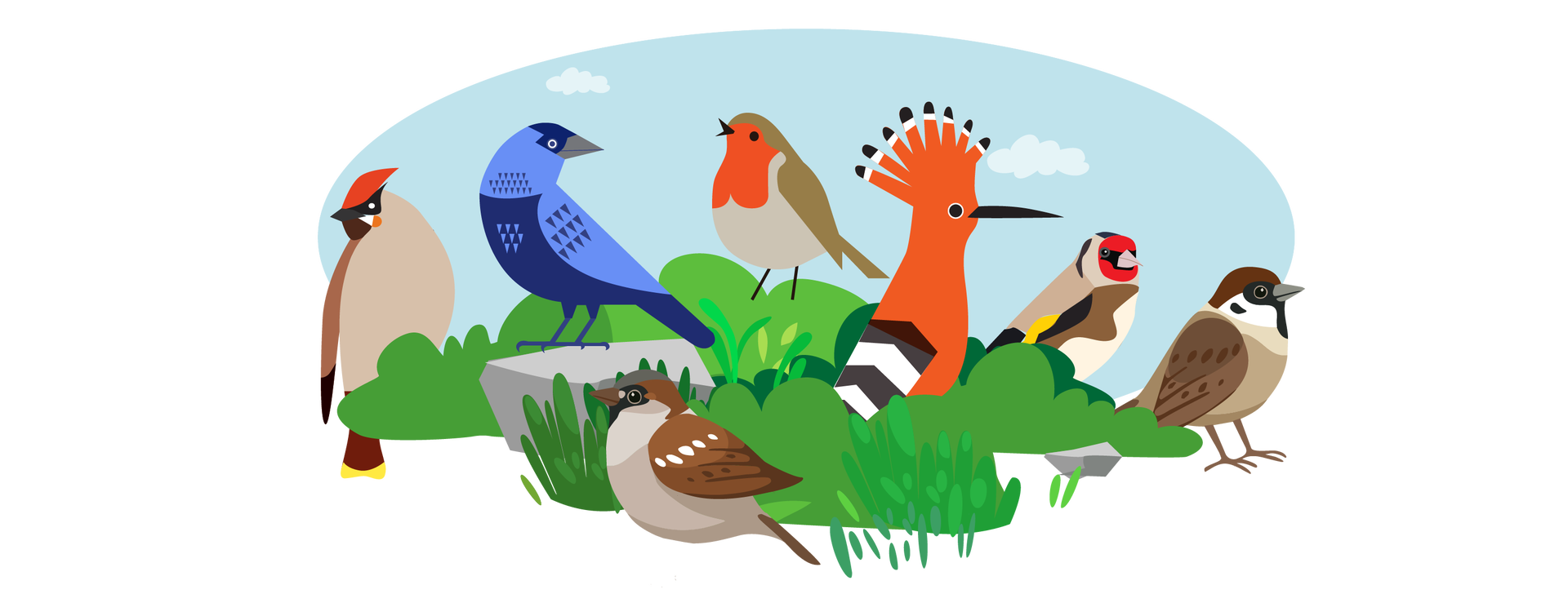 Ilustracja przedstawia teren porośnięty zielenią. W tle widać błękitne niebo z jasnymi chmurami. Na polanie siedzi siedem ptaków. Pierwszy od lewej to dziwonia. Ma czerwony czubek na głowie, jasnobrązowe upierzenie na brzuchu oraz brązowe na skrzydłach i grzbiecie. Drugi ptak to wrona. Ma szaroniebieskie upierzenie. Trzeci ptak to wróbel. Ma jasnobrązowe upierzenie na brzuchu i brązowe na grzbiecie, głowie oraz skrzydłach. Czwarty ptak to rudzik. Ma czerwone upierzenie na szyi, jasnobrązowe na brzuchu i brązowe na grzbiecie i skrzydłach. Piąty ptak to dudek. Jest pomarańczowy i ma czarno‑białe skrzydła oraz czubek. Szósty ptak to szczygieł. Ma biały brzuszek, żółto‑czarne skrzydła, czerwone upierzenie na głowie i brązowe na grzbiecie oraz pod skrzydłami. Siódmy ptak to mazurek. Ma czarno‑białe upierzenie na szyi, ciemnobrązowe na głowie i skrzydłach oraz jasnobrązowe na grzbiecie i brzuchu.