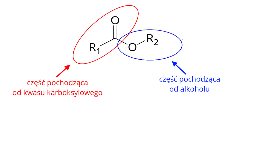 Na ilustracji ukazano wzór ogólny estru. Od grupy R indeks dolny, jeden, koniec indeksu dolnego odchodzi wiązanie pojedyncze do atomu węgla C. Od niego odchodzą dwa wiązania: podwójne do atomu tlenu O i pojedyncze do atomu tlenu O. Od niego odchodzi wiązanie pojedyncze do grupy R indeks dolny, dwa, koniec indeksu dolnego. Grupę R indeks dolny, jeden, koniec indeksu dolnego, atom węgla i atom tlenu oznaczono czerwoną ramką i podpisano jako część pochodząca od kwasu karboksylowego. Atom tlenu i grupę R indeks dolny, dwa, koniec indeksu dolnego oznaczono niebieską ramką i podpisano jako część pochodząca od alkoholu.
