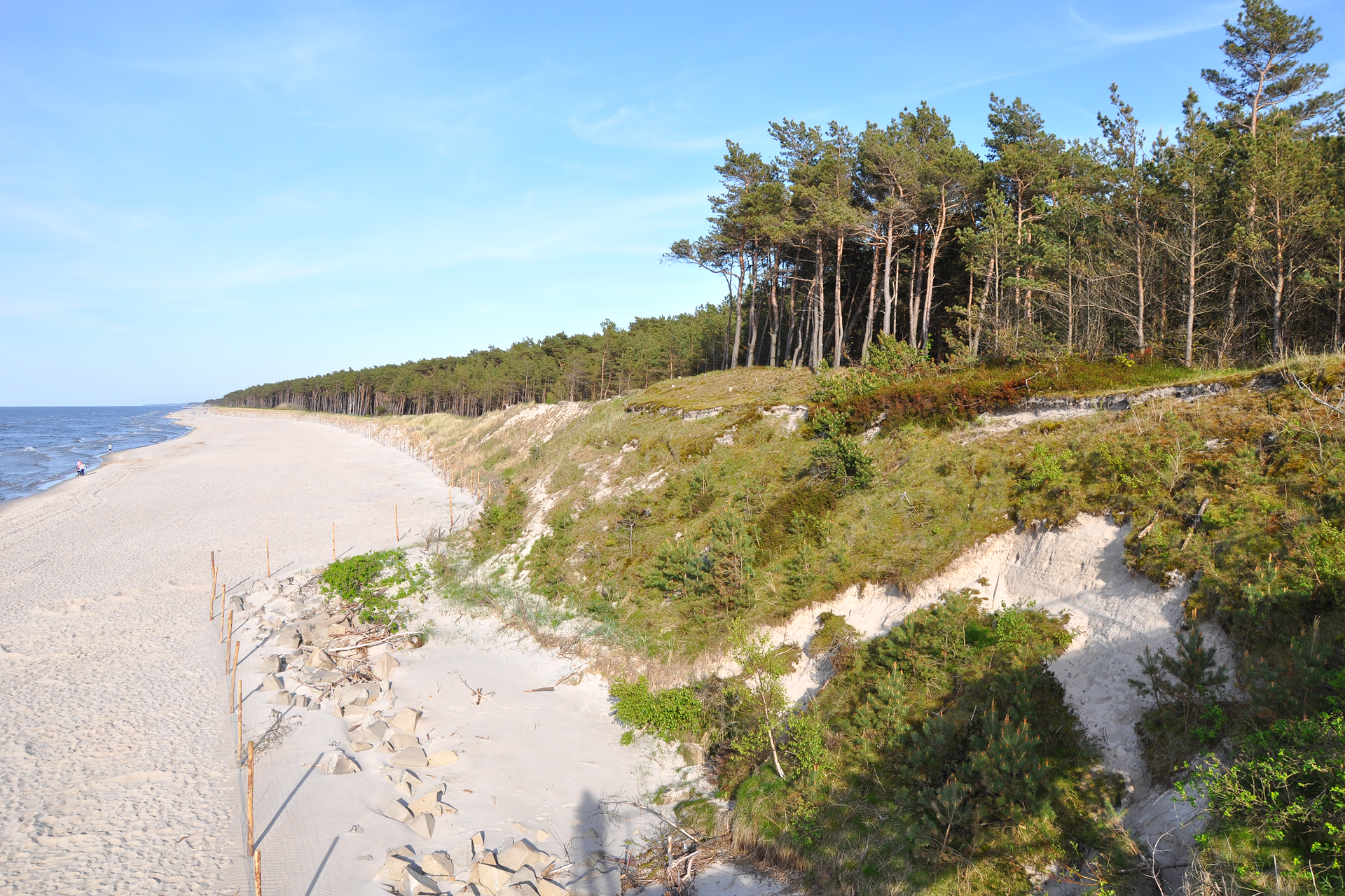Fotografia prezentuje fragment pobrzeża z plażą oraz klifami. Na klifie rosną liczne drzewa iglaste.