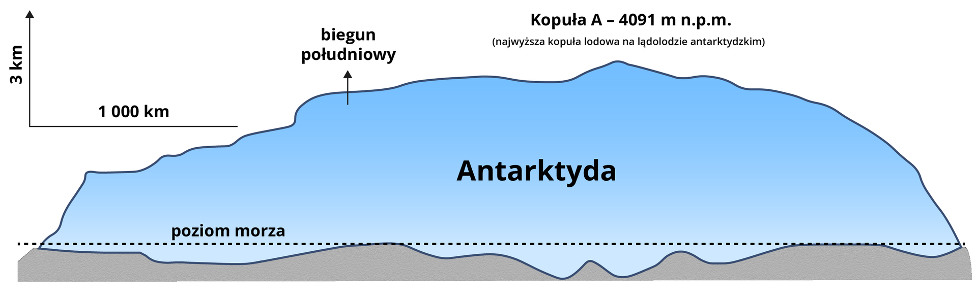 Grafika przedstawia lądolód Antarktydy. Przedstawia z profilu przekrój kontynentu. W dolnej części szarym kolorem naniesiono ląd Antarktydy, jego górną granicę oznaczono poziomą przerywaną linią i podpisano jako poziom morza. Na lądzie znajduje się ogromna masa lądolodu o grubości kilku kilometrów. Ma półokrągły kształt, jej wysokość zwiększa się w środkowej części kontynentu. W lewym górnym rogu odcinki wyznaczające wysokość nad poziomem morza i odległość, odpowiednio trzy i tysiąc kilometrów. W jednej trzeciej szerokości u góry lądolodu oznaczono biegun południowy, a tuż za połową jej najwyższy punkt, opisany jako „kopuła A” na wysokości 4091 metrów nad poziomem morza.