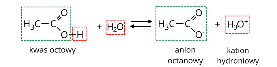 Ilustracja przedstawia równanie reakcji. Od lewej H indeks dolny, trzy, koniec indeksu dolnego, C wiązanie pojedyncze C. Od C odchodzi wiązanie podwójne do O znajdującego się u góry i po prawej w stosunku do C oraz wiązanie pojedyncze do O znajdującego się na dole i po prawej stronie w stosunku do C. Grupa ta znajduje się w ramce z zielonej, przerywanej linii. Od dolnego O odchodzi w prawą stronę wiązanie pojedyncze do H. H znajduje się w ramce z czerwonej przerywanej linii. Pod spodem podpis kwas octowy. Dalej znak plus i H indeks dolny, dwa, koniec indeksu dolnego, O oraz dwie strzałki z grotem skierowanym w lewo i w prawo leżące równolegle do siebie. Za strzałkami znajduje się H indeks dolny, trzy, koniec indeksu dolnego, C wiązanie pojedyncze C. Od C odchodzi wiązanie podwójne do O znajdującego się u góry i po prawej w stosunku do C oraz wiązanie pojedyncze do O znajdującego się na dole i po prawej stronie w stosunku do C. Przy znaku O, w indeksie górnym, umieszczony jest znak minus. Cała ta grupa znajduje się w ramce z zielonej, przerywanej linii. Pod spodem podpis anion octanowy. Po prawej stronie plus. Za nim H indeks dolny, trzy, koniec indeksu dolnego, O indeks górny, plus, koniec indeksu górnego w czerwonej ramce z przerywanej linii. Pod spodem podpis kation hydroniowy.