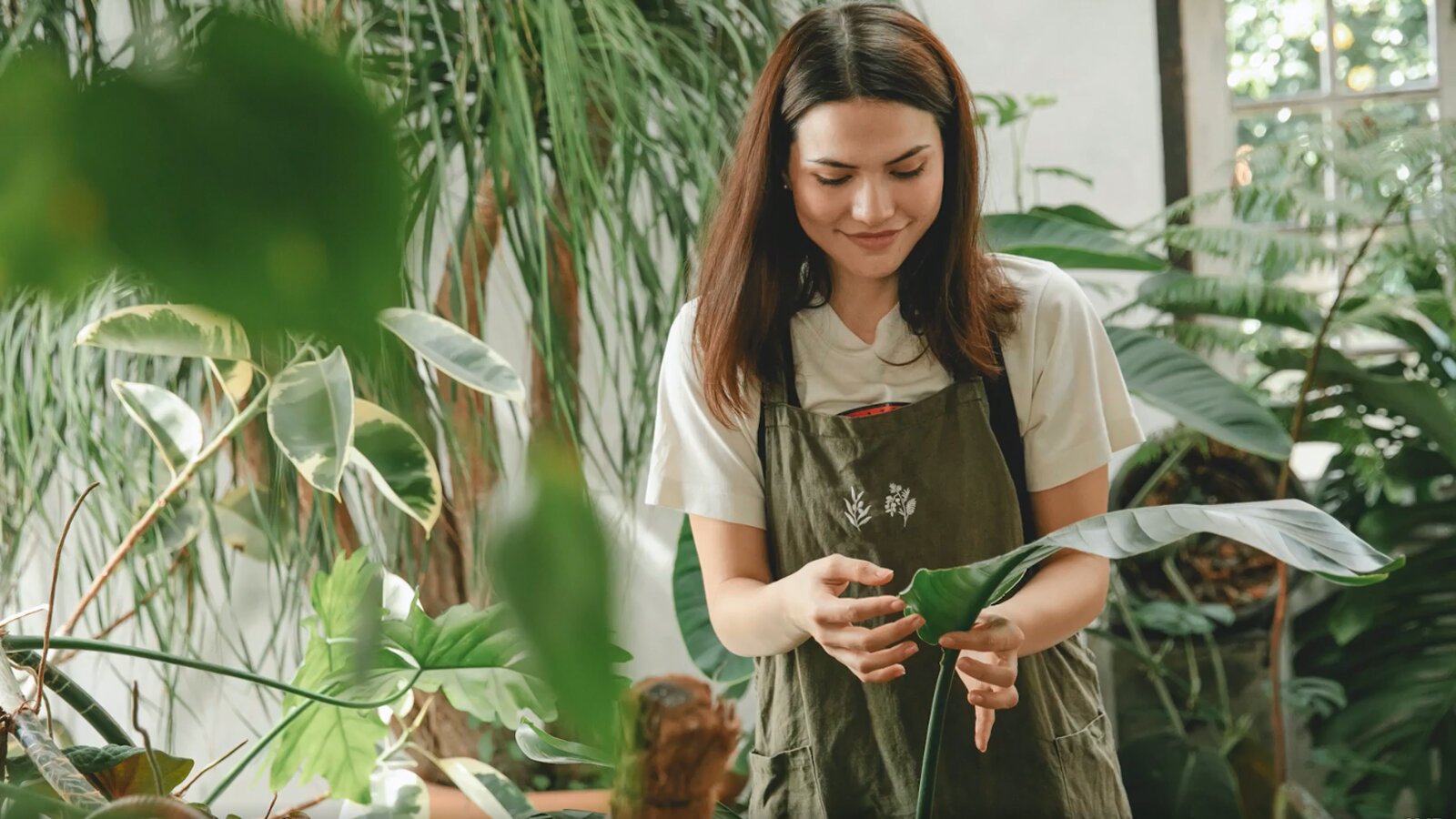 Ilustracja przedstawia młodą uśmiechającą się kobietę stojącą w pomieszczeniu pełnym egzotycznym roślin. 
