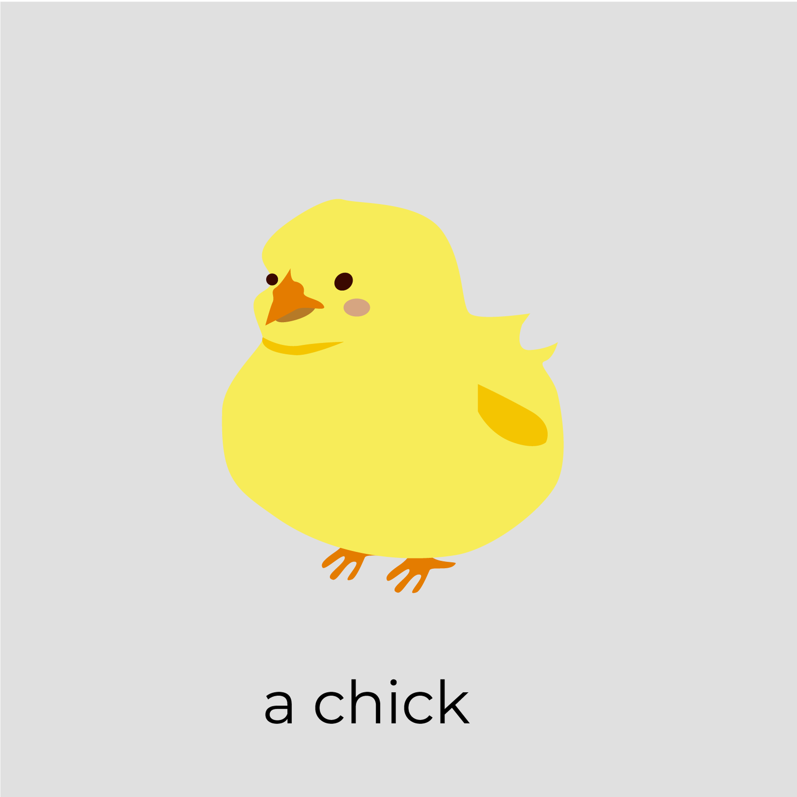 Ilustracja przedstawia żółtego kurczaczka. Spod opierzenia wystają dwie pomarańczowe łapki. Kurczaczek posiada mały dziób oraz drobne czarne oczy. Pod kurczaczkiem widnieje podpis: a chick.