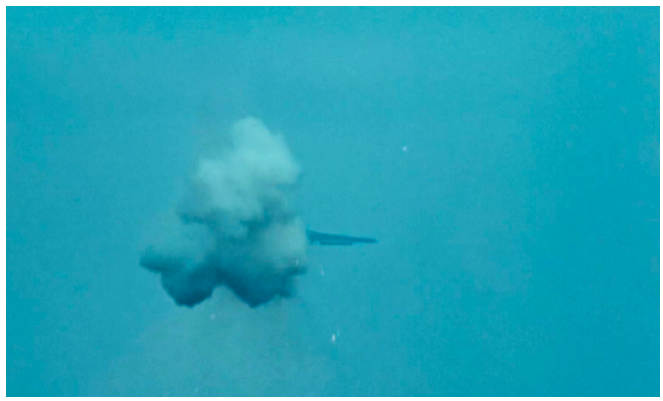 Fotografia przedstawia lecący i płonący samolot. Spomiędzy kłębów dymu wyłania się jedno ze skrzydeł. W tle bezchmurne niebo.