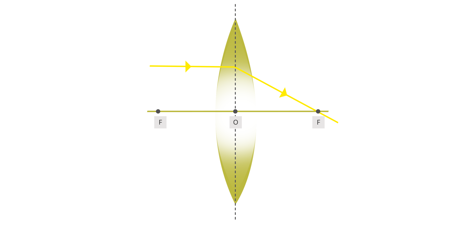 Rysunek przedstawia schemat soczewki wypukłej z zaznaczonym środkiem optycznym O, linię przerywaną pionową przechodzącą przez środek soczewki, linię poziomą przechodzącą przez środek soczewki oraz punkty F znajdujące się po dwóch stronach soczewki w tej samej odległości, linię poziomą do linii pionowej, od tego miejsca linię ukośną przechodzącą przez punkt F po prawej stronie soczewki, symbolizujące promień. Promień padający na soczewkę równolegle do osi optycznej po załamaniu przechodzi przez ognisko soczewki.