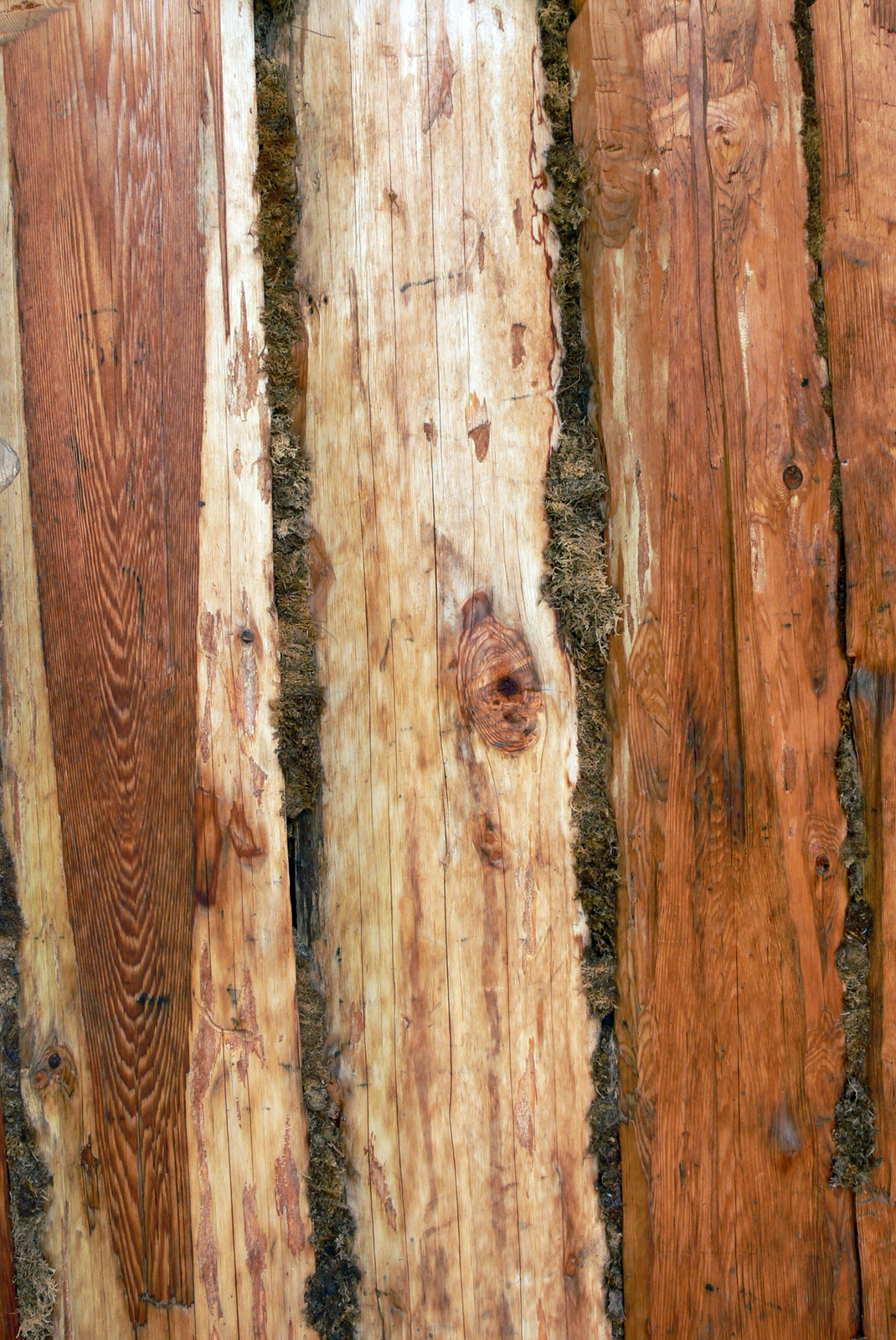 Zdjęcie przedstawia fragment drewnianej ściany uszczelnionej mchem. Znajduje się on w zagłębieniach belek, z których jest wykonana ściana.