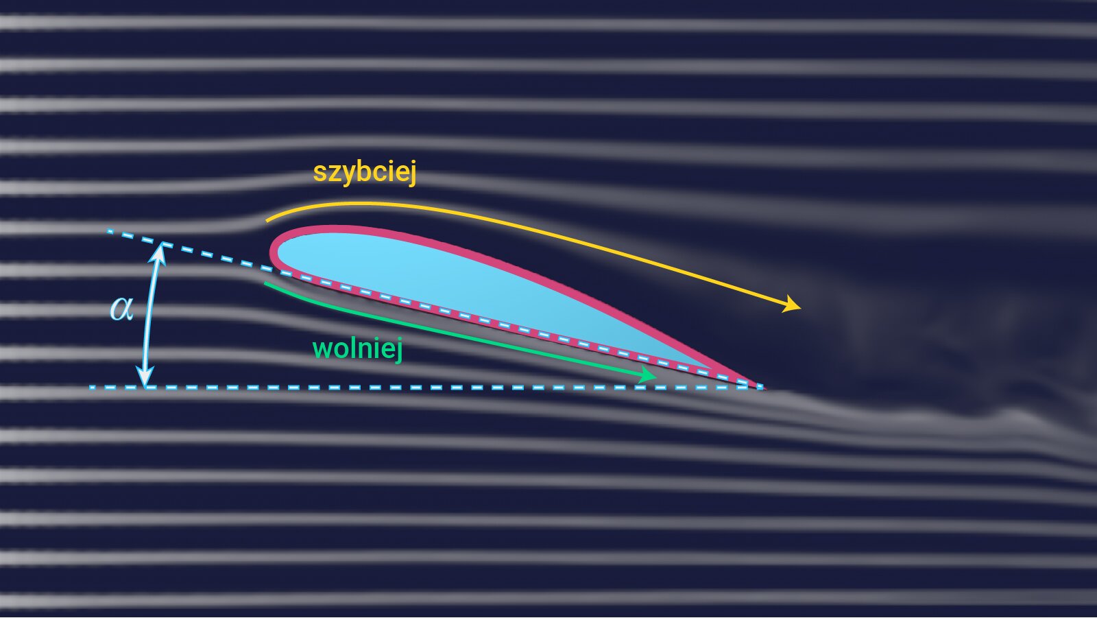 Ilustracja przedstawia zależność na skrzydle samolotu - prędkość powietrza przemieszczającego się wzdłuż górnej powierzchni skrzydła musi być większa niż prędkość strumienia opływającego jego dolną powierzchnię. Im większa prędkość przepływu, tym ciśnienie jest mniejsze, i odwrotnie. Siła nośna rośnie wraz ze wzrostem kąta natarcia alfa, ponieważ zwiększa się różnica prędkości przepływów pomiędzy dolną a górną powierzchnią skrzydła.