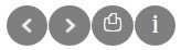 Zdjęcie przedstawia cztery ikony. Dolny panel strzałki – przesunięcie zdjęcia lewo, prawo ikona drukarki – możliwość wydrukowania zdjęcia i informacji ikona "i" – rozwinięcie dodatkowych informacji 