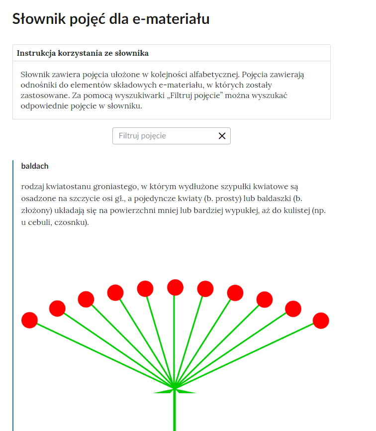 Grafika przedstawia fragment słownika z częścią umożliwiającą filtrację pojęć. Na samej górze umieszczona jest instrukcja korzystania ze słownika. Zawarta jest w niej następująca informacja: „Słownik zawiera pojęcia ułożone w kolejności alfabetycznej. Pojęcia zawierają odnośniki do elementów składowych e‑materiału, w których zostały zastosowane. Za pomocą wyszukiwarki »Filtruj pojęcie« można wyszukać odpowiednie pojęcie w słowniku”. Pod instrukcją korzystania ze słownika umieszczone zostało pole w kształcie prostokąta. Wewnątrz znajduje się napis: Filtruj pojęcie oraz umieszczony z boku przycisk w kształcie krzyżyka. Na samym dole znajduje się pierwsze pojęcie ze słownika. Dotyczy ono kwiatostanu typu baldach.