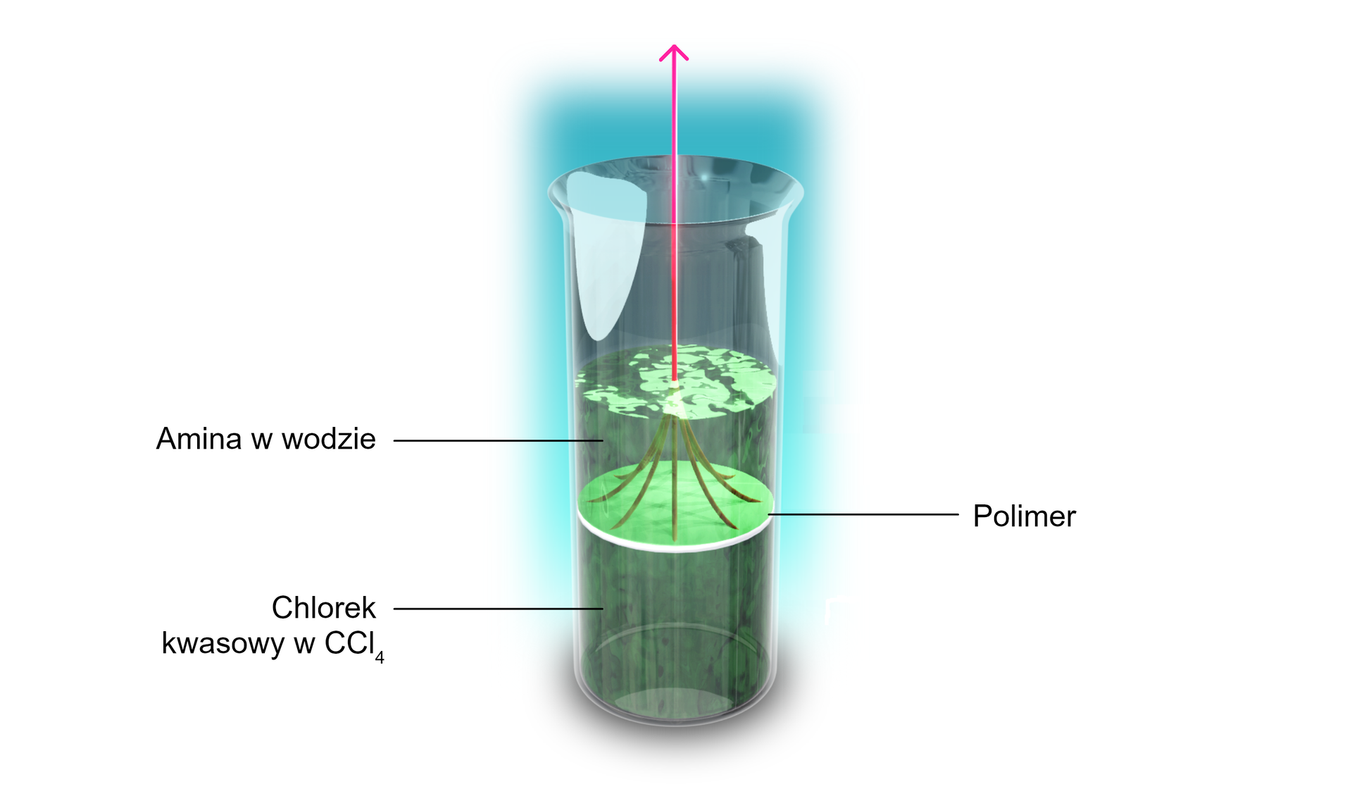 Ilustracja przedstawiająca schematycznie międzyfazowe przędzenie nici poliamidu 6.10 na granicy faz roztworów woda‑diamina (heksano-1,6-diamina) i tetrachlorek węgla - dichlorek kwasu sebacynowego. W dolnej części walcowatego naczynia znajduje się chlorek kwasowy w tetrachlorometanie . Powyżej międzywarstwa, w której powstaje polimer, nad nią warstwa wodna, w której znajduje się amina. Polimer z powierzchni międzyfazowej wyciągany jest z pojemnika w postaci nici.