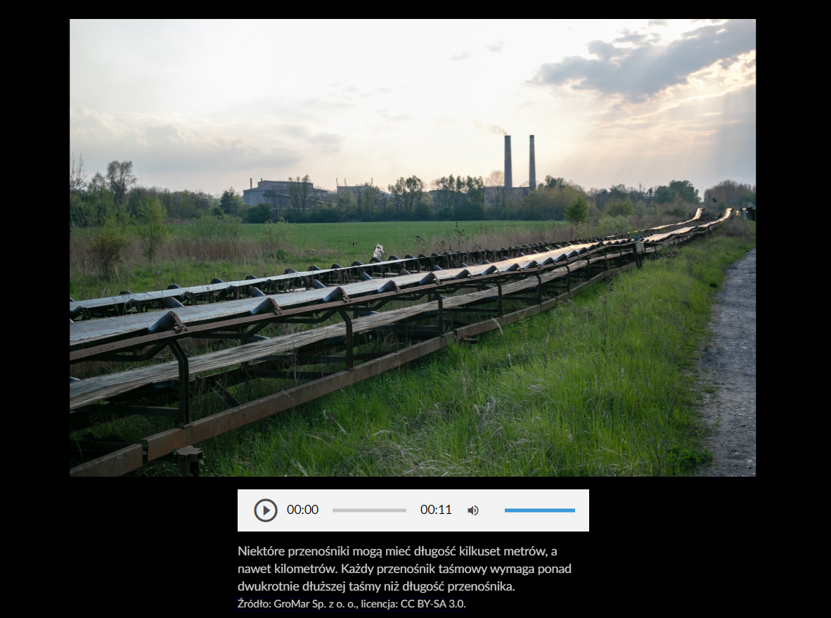 Zdjęcie przedstawia przykładową grafikę z galerii zdjęć z rozwiniętym opisem. U dołu zdjęcia widoczny jest biały pasek, na którym po lewej stronie znajduje się ikona trójkąta skierowanego wierzchołkiem w prawo, czyli ikona włączenia odtwarzania filmu.  Po środku umiejscowiono pasek postępu nagrania oraz jego czas, a po prawej stronie symbol głośnika i niebieski pasek, za pomoca którego można regulować głośność. Pod zdjęciem i białym paskiem wyświetlony jest opis tego zdjęcia.