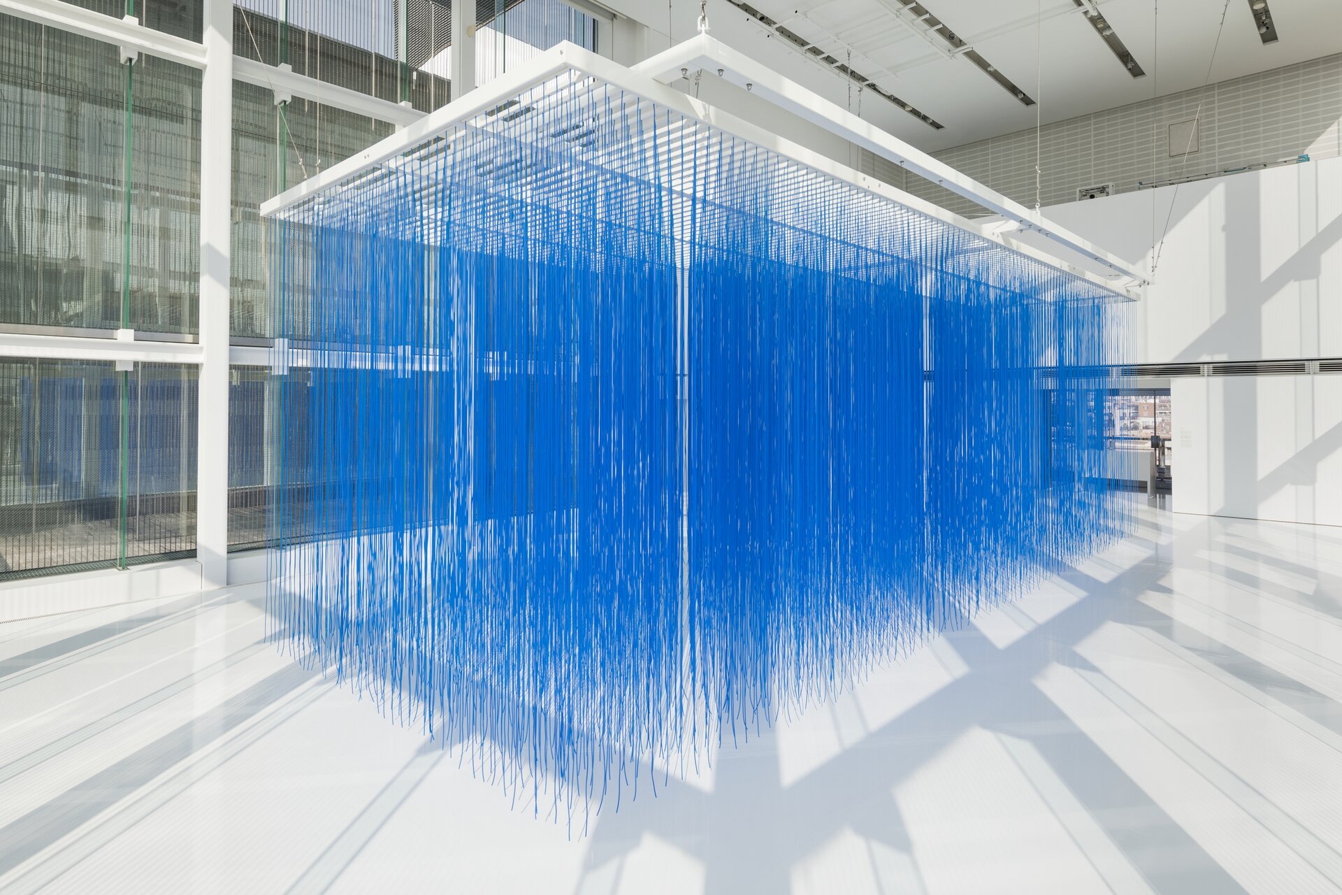 Fotografia przedstawia instalację artystyczną, składającą się z zawieszonych na białym stelażu, cienkich intensywnie niebieskich długich pasków materiału. Są one zawieszone blisko siebie, i sięgają prawie do białej podłogi. Stelaż, na którym wiszą paski materiału składa się z połączonych ze sobą białych metalowych belek i jest podwieszony do sufitu za pomocą stalowych linek. Tło fotografii stanowią przeszklone drzwi, biała ściana oraz tafla szkła znajdująca się z lewej strony pomieszczenia.