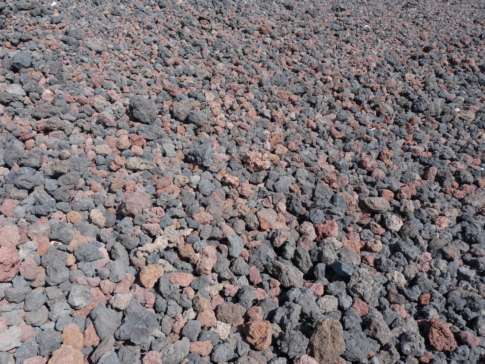 Zdjęcie przedstawia lapille. Są one niewielkie, mają kształt zbliżony do okrągłego. Posiadają chropowatą powierzchnię o szarej lub brązowej barwie.