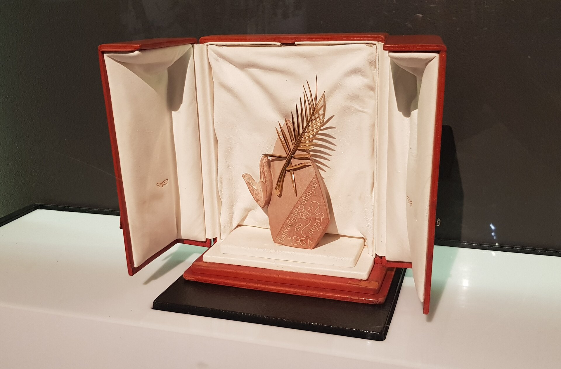 Zdjęcie przedstawia Złotą Palmę z festiwalu z 1961 roku. Statuetka stoi w bordowym, otwieranym pudełku wyłożonym jasnym materiałem. Składa się ze złotej gałązki palmy przytwierdzonej do kamiennego cokołu, do którego przytwierdzona jest również wyrzeźbiona dłoń.