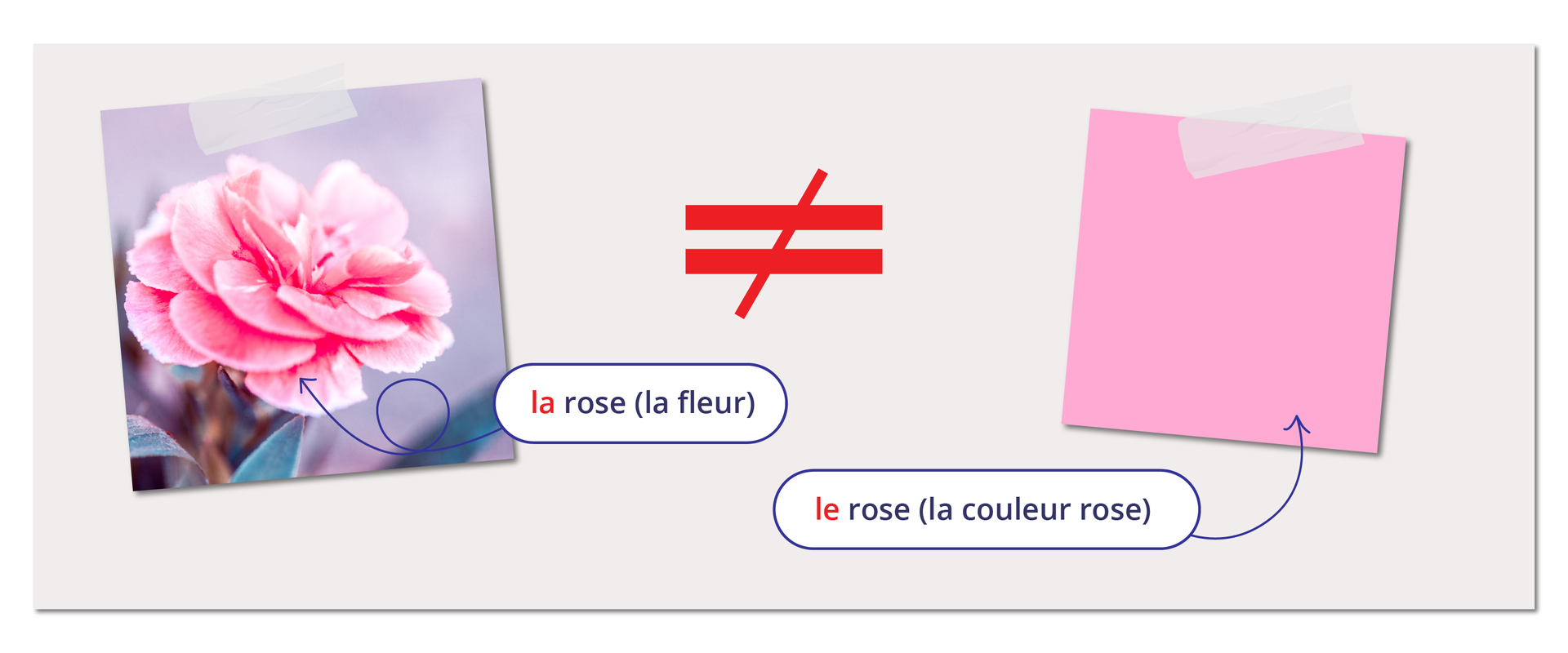 Czy róża jest różowa?