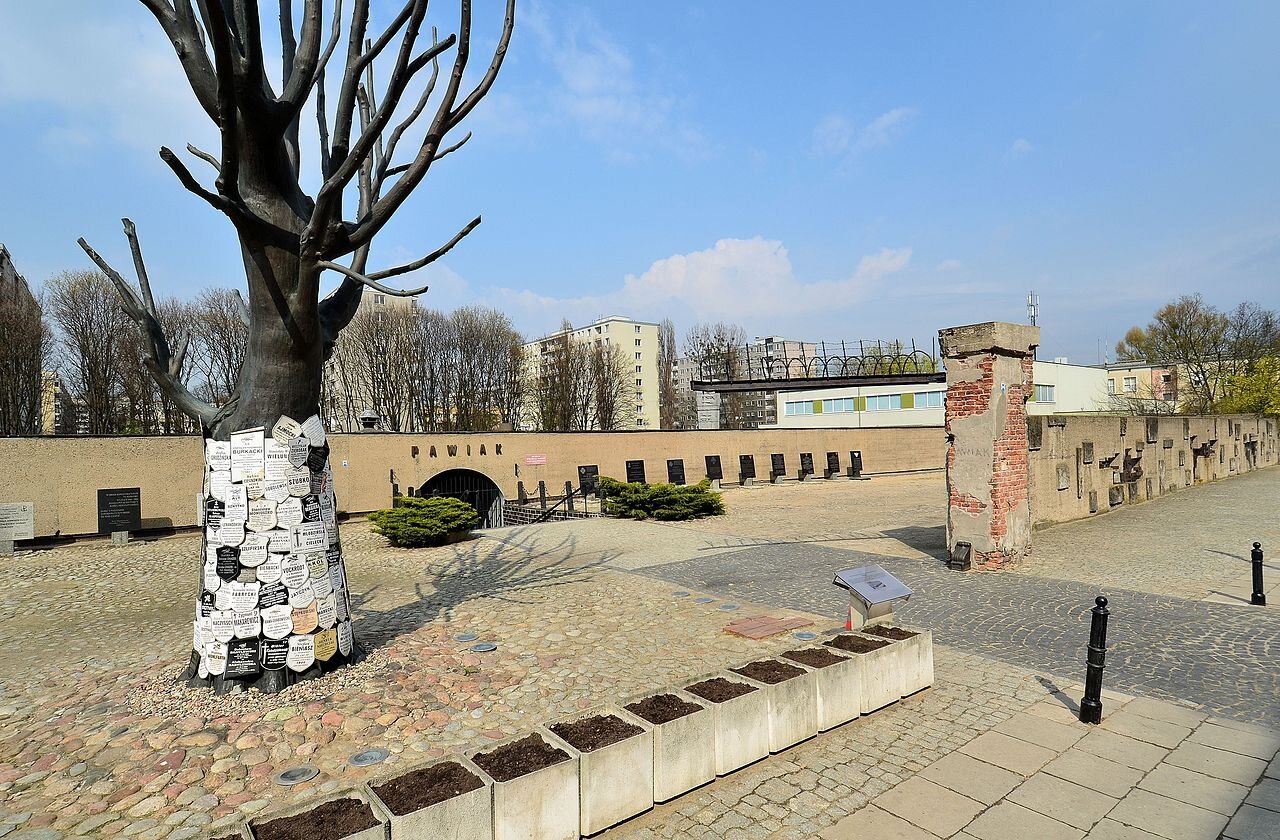 Zdjęcie przedstawia długi mur z napisem Pawiak. Przed nim drzewo bez gałęzi z licznymi tabliczkami. To pomnik drzewa Pawiak. Byłego więzienia. To rodziny ofiar zostawiały na nim tabliczki z imionami osób, które straciły. Wszystko zaczęło się w 1945 roku.
