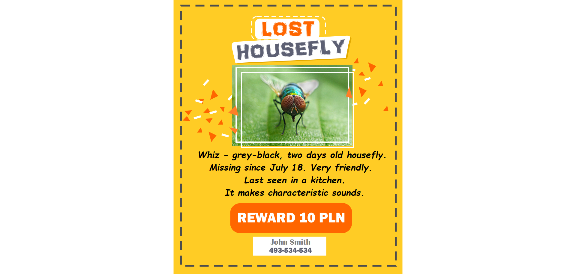 Ilustracja przedstawia ogłoszenie pt. „LOST HOUSEFLY”, na którym znajduje się zdjęcie muchy oraz informacje na temat zwierzaka: Whiz - grey-black, two days old housefly. Missing since July 18. Very friendly. Last seen in a kitchen. It makes characteristic sounds. Poniżej informacja o nagrodzie: REWARD 10 PLN. Poniżej kontakt do właściciela John Smith 493-534-534.