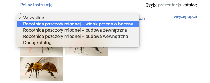 Grafika przedstawia wybór katalogu w galerii interaktywnej. Na samej górze od lewej widoczne są napisy: Pokaż instrukcję. Tryb: prezentacja, katalog. Poniżej po kliknięciu w pole katalogu rozwija się lista. Robotnica pszczoły miodnej – widok przednio boczny. Robotnica pszczoły miodnej – budowa zewnętrzna. Robotnica pszczoły miodnej – budowa wewnętrzna. Obok wyszukiwarki katalogów widnieje napis "usuń" oraz "więcej opcji. W tle widać trzy grafiki pszczół. 