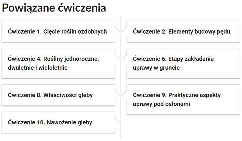 Grafika przedstawia przykładowe przyciski powiązanych ćwiczeń z danym multimedium. Przedstawiono siedem kafelków. Pierwszy kafelek zawiera napis: Ćwiczenie pierwsze. Cięcie roślin ozdobnych. Drugi kafelek zawiera napis: Ćwiczenie drugie. Elementy budowy pędu. Trzeci kafelek zawiera napis: Ćwiczenie czwarte. Rośliny jednoroczne, dwuletnie i wieloletnie. Czwarty kafelek zawiera napis: Ćwiczenie szóste. Etapy zakładania uprawy w gruncie. Piąty kafelek zawiera napis: Ćwiczenie ósme. Właściwości gleby. Szósty kafelek zawiera napis: Ćwiczenie dziewiąte. Praktyczne aspekty uprawy pod osłonami. Siódmy kafelek zawiera napis: Ćwiczenie dziesiąte. Nawożenie gleby.