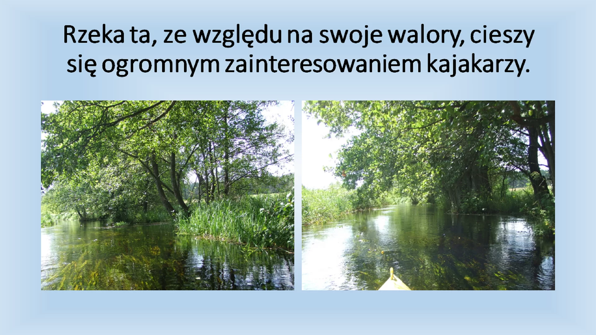 Trzeci slajd pod tytułem "Rzeka ta, ze względu na swoje walory, cieszy się ogromnym zainteresowaniem kajakarzy." Pod tytułem znajdują się dwa zdjęcia przedstawiające las. Zdjęcia zostały zrobione z perspektywy osoby siedzącej w kajaku.