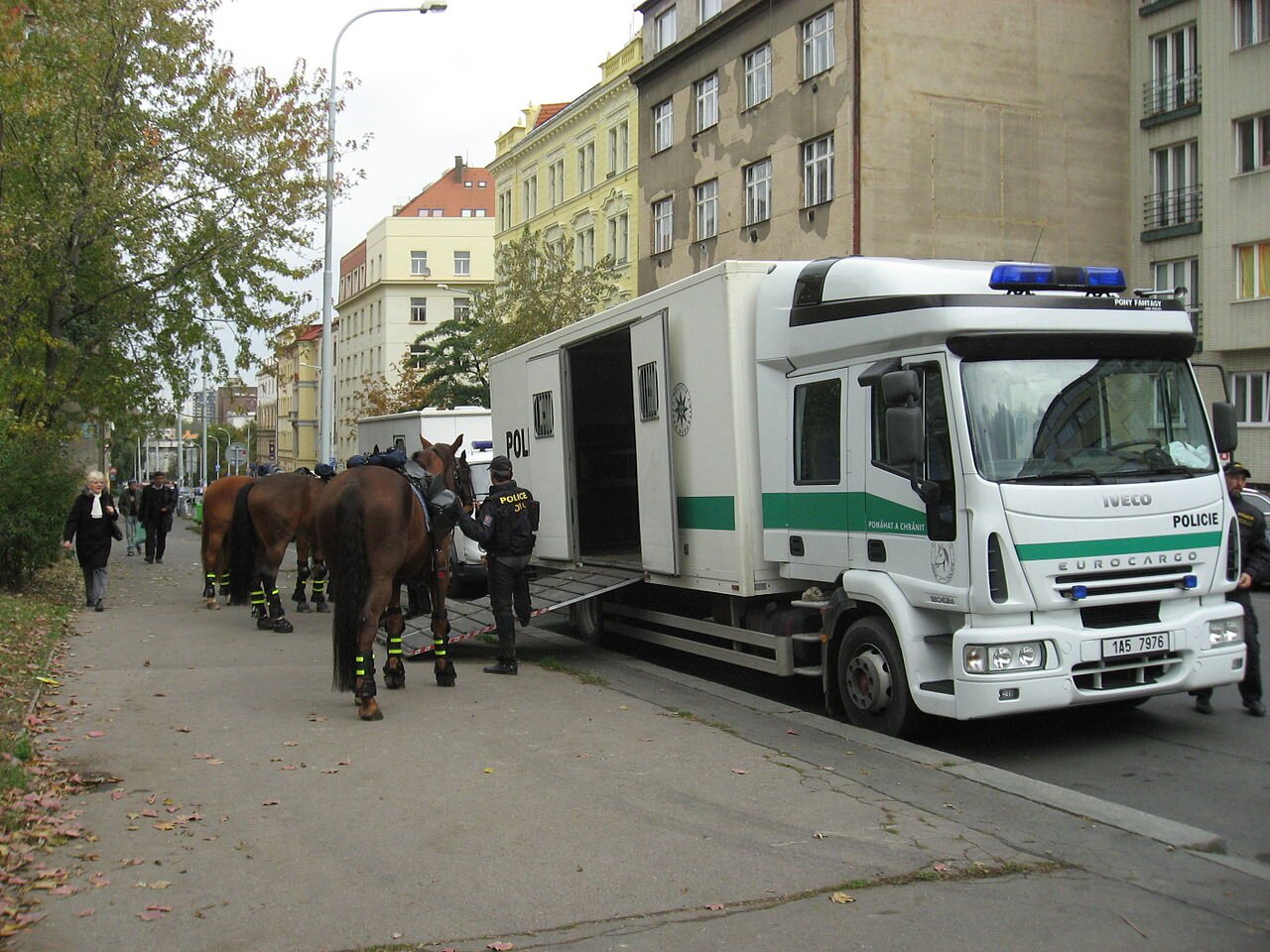 Zdjęcie przedstawia duży policyjny koniowóz. Jest to pojazd przypominający ciężarówkę. Z tyłu posiada długą przyczepę do przewozu kilku koni. Z boku przyczepy znajdują się otwarte drzwi, przed którymi rozłożono rampę. Policjanci wprowadzają kolejno konie do przyczepy.