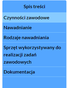 Przykładowy widok spisu treści