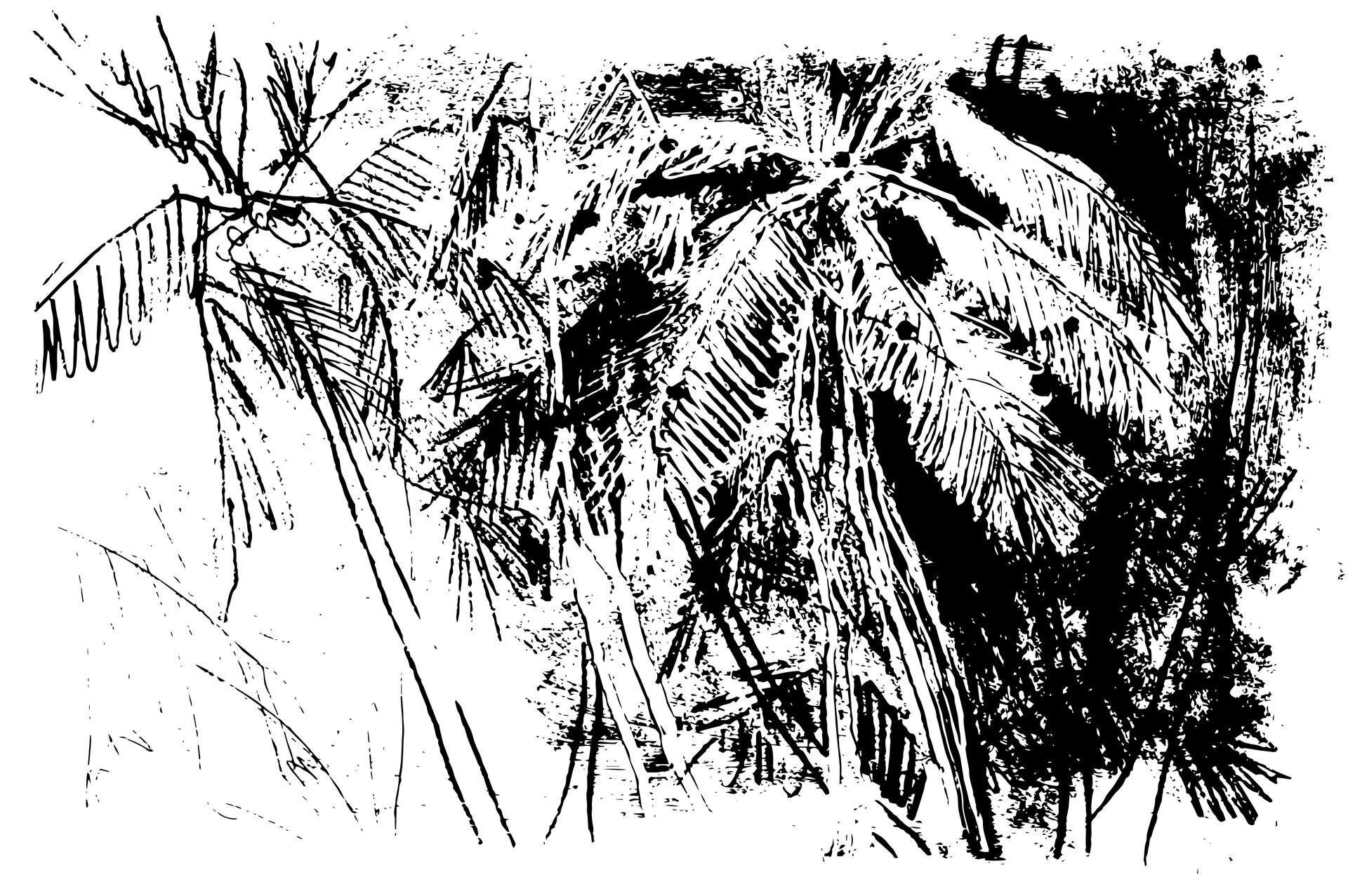 Ilustracja przedstawia czarno biała odbitkę, na której znajdują się egzotyczne drzewa na plaży. Część tła obrazu jest biała a cześć czarna.