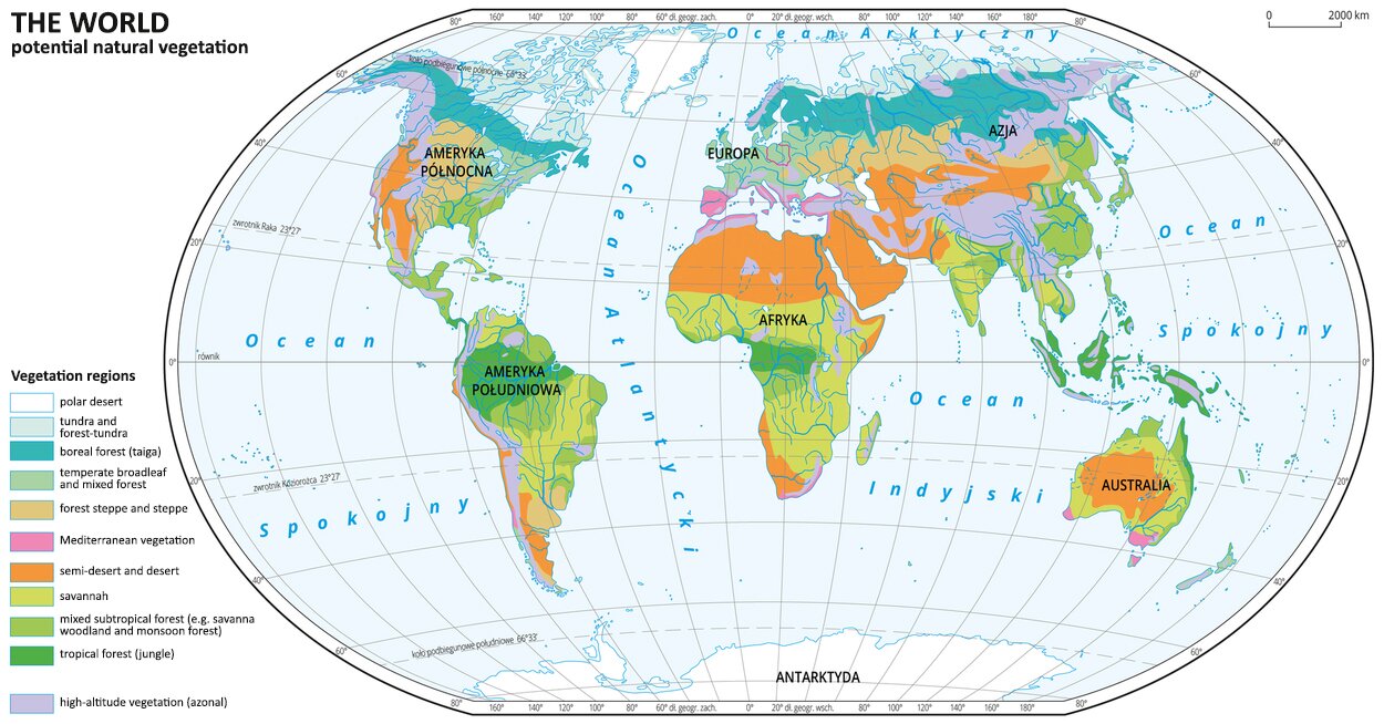 Ilustracja przedstawia mapę świata - Map of distribution of main types of vegetation on Earth THE WORLD potential natural vegetation. Opisano kontynenty: Ameryka Północna, Ameryka Południowa, Afryka, Europa, Afryka, Azja, Australia, Antarktyda. Na mapie w obrębie lądów zaznaczono potencjalną roślinność naturalną. Zasadniczo strefy układają się pasami o przebiegu równoleżnikowym, za wyjątkiem terenów górskich. Oznaczono pustynię lodową – polar desert, tundrę i lasotundrę – tundra and forest-tundra, las iglasty – tajgę – boreal forest (taiga), las liściasty i mieszany strefy umiarkowanej – temperate broadleaf and mixed forest, lasostep i step - forest steppe and steppe, roślinność śródziemnomorską – Mediterranean vegetation, semi-desert and desert, sawannę – savannah, subtropikalny las przejściowy – mixed subtropical forest (e.g. savanna woodland and monsoon forest), wilgotny las równikowy – tropical forest (jungle), roślinność wysokogórską (astrefową) – high-altitude vegetation (azonal).