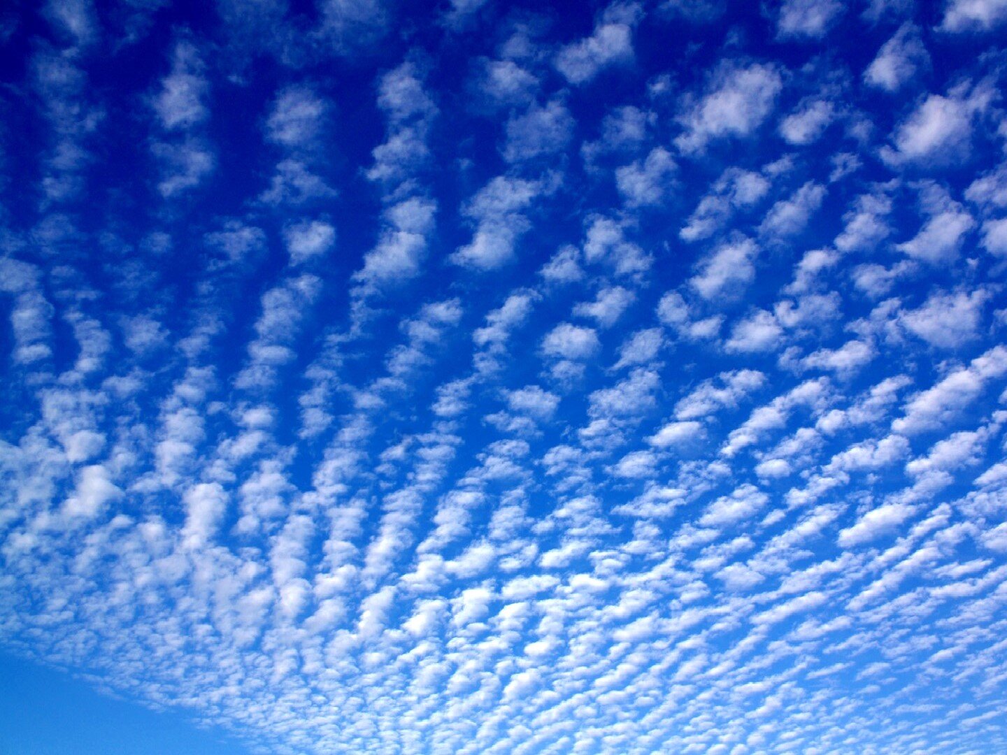 Fotografia przedstawia rozległe, cienkie i przerywane białe chmury na niebie.