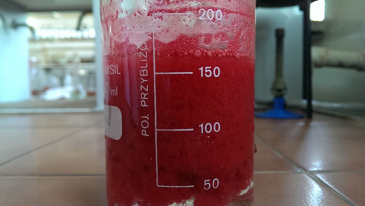 Ilustracja przedstawia zlewkę z czerwonoróżowym osadem. 