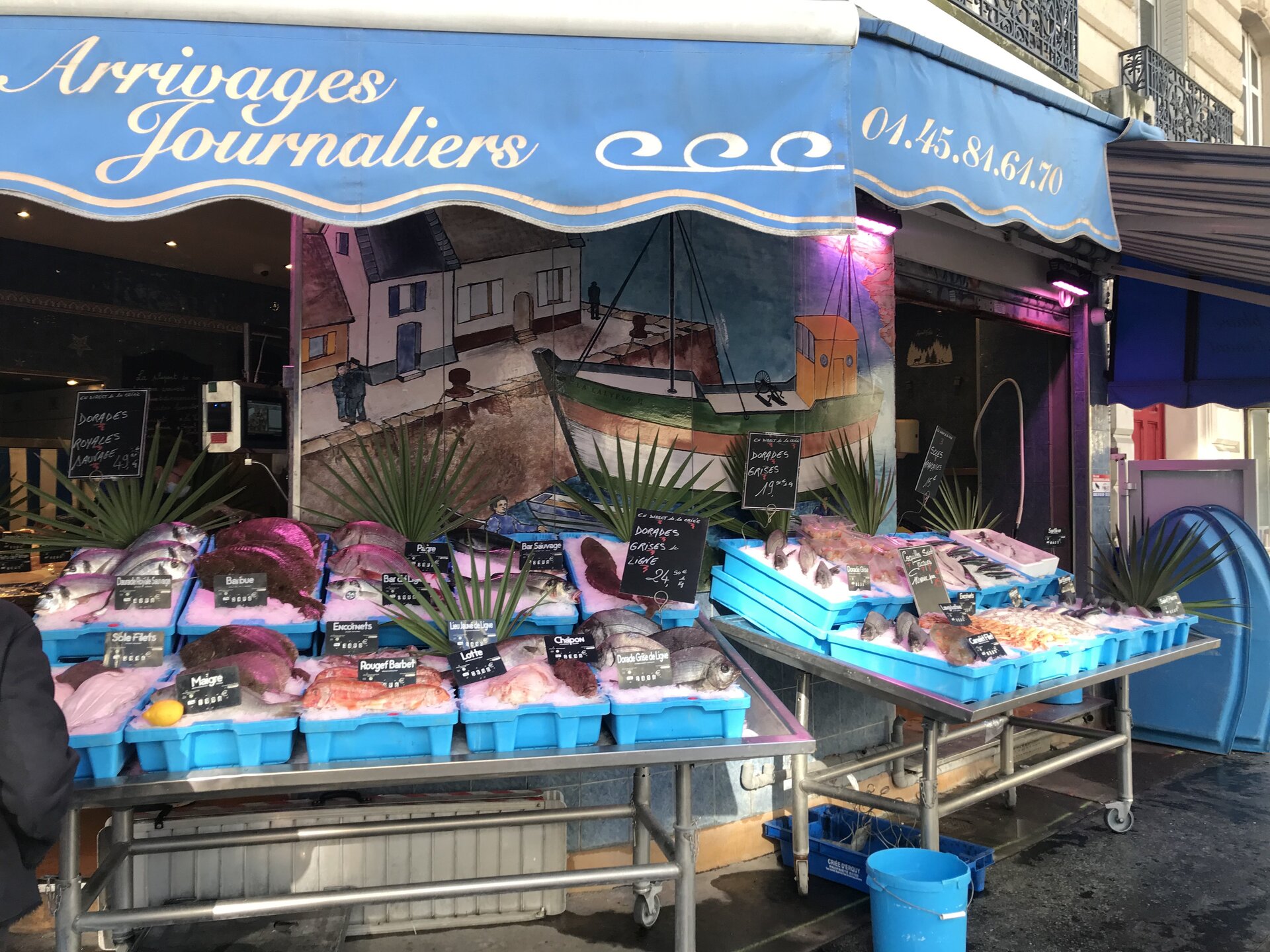 Ilustracja przedstawia sklep rybny.