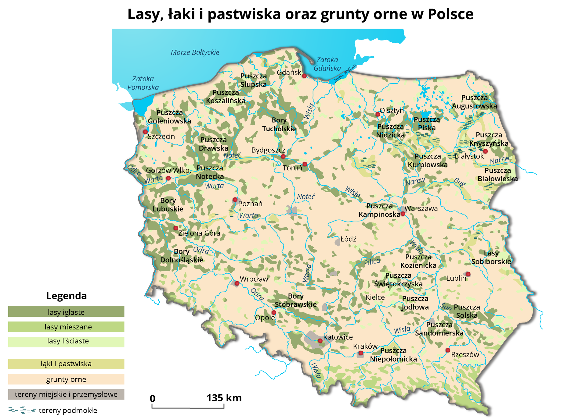 Na mapie Polski przedstawiono lasy, łąki i pastwiska, grunty orne i tereny miejskie oraz przemysłowe. Lasy iglaste znajdują się głównie na terenach Puszcz: Goleniowskiej, Koszalińskiej, Słupskiej, Kampinowskiej, Drawskiej, Noteckiej, Nidzickiej, Piskiej, Augustowskiej, Knyszyńskiej, Kurpiowskiej, Solskiej, Sandomierskiej, Jodłowej oraz Borów: Tucholskich, Lubuskich, Dolnośląskich, Stobrawskich. Lasy mieszane porastają południowe obszary województw podkarpackiego, małopolskiego, dolnośląskiego. Skupiska lasów liściastych oznaczone zostały na przykład na Pomorzu Zachodnim, Warmii i Mazurach,  w Lasach Sobiborskich, Puszczy Świętokrzyskiej. Łąki i pastwiska zaznaczono głównie na zachodnio‑północnych terenach województwa mazowieckiego, na Podlasiu i Lubelszczyźnie. Większe skupiska terenów przemysłowych widoczne są w okolicach Katowic, Warszawy, Szczecina i Poznania. Tereny podmokłe zakreślono w okolicach puszcz: Nidzickiej, Piskiej, Kurpiowskiej, Knyszyńskiej i Białowieskiej. Grunty orne zajmują niemal cały pozostały obszar Polski. 