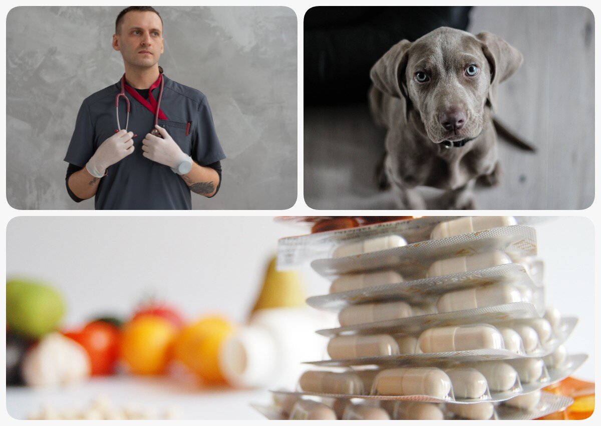 Ćwiczenie alternatywne wyświetla się w trybie dostępności.