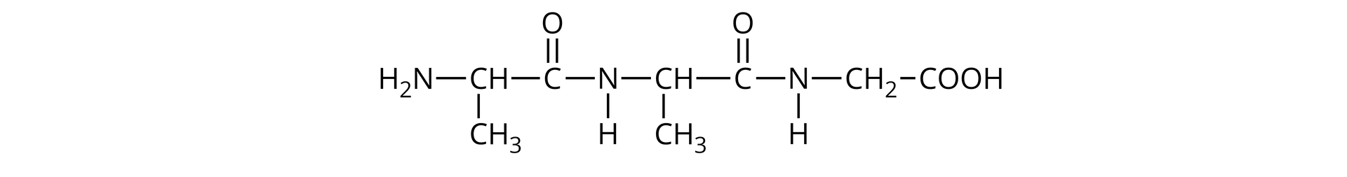 Wzór tripeptydu Ala-Ala-Gly.