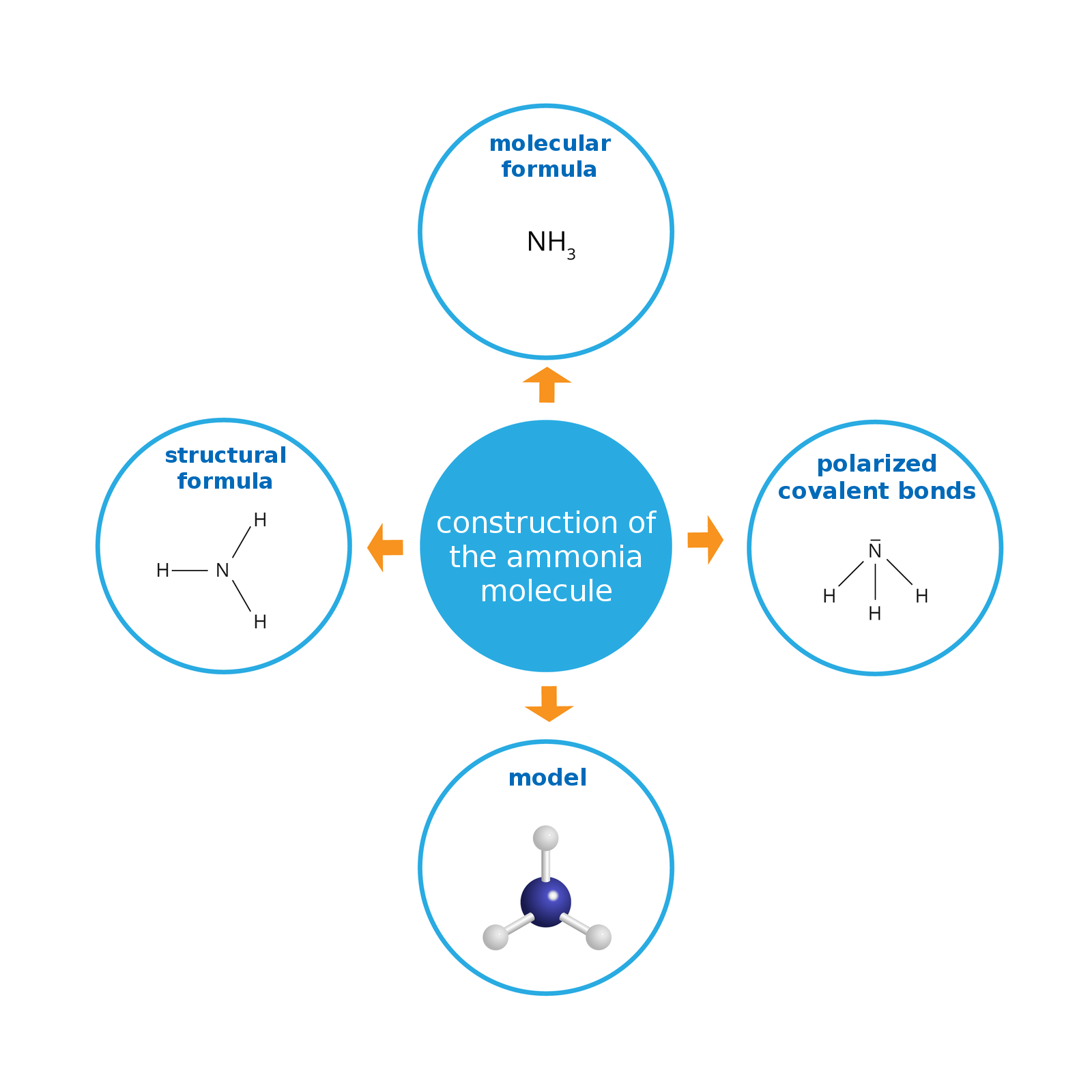 Ilustracja przedstawia pięć kół środkowe to: construction of the ammonia molecule od którego odchodzi molecular formula en ha trzy, structural formula, polarized covalent bonds, model.
