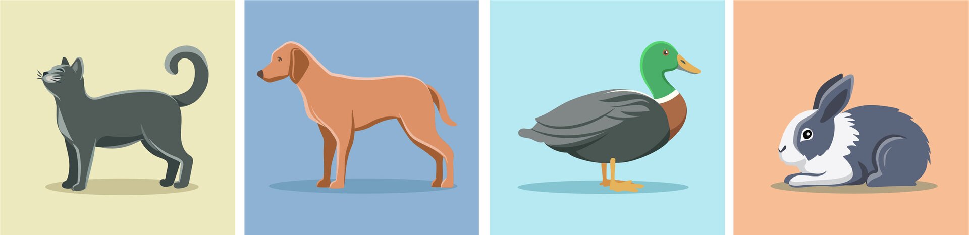 Ilustracja przedstawia kota, psa, kaczkę i królika.