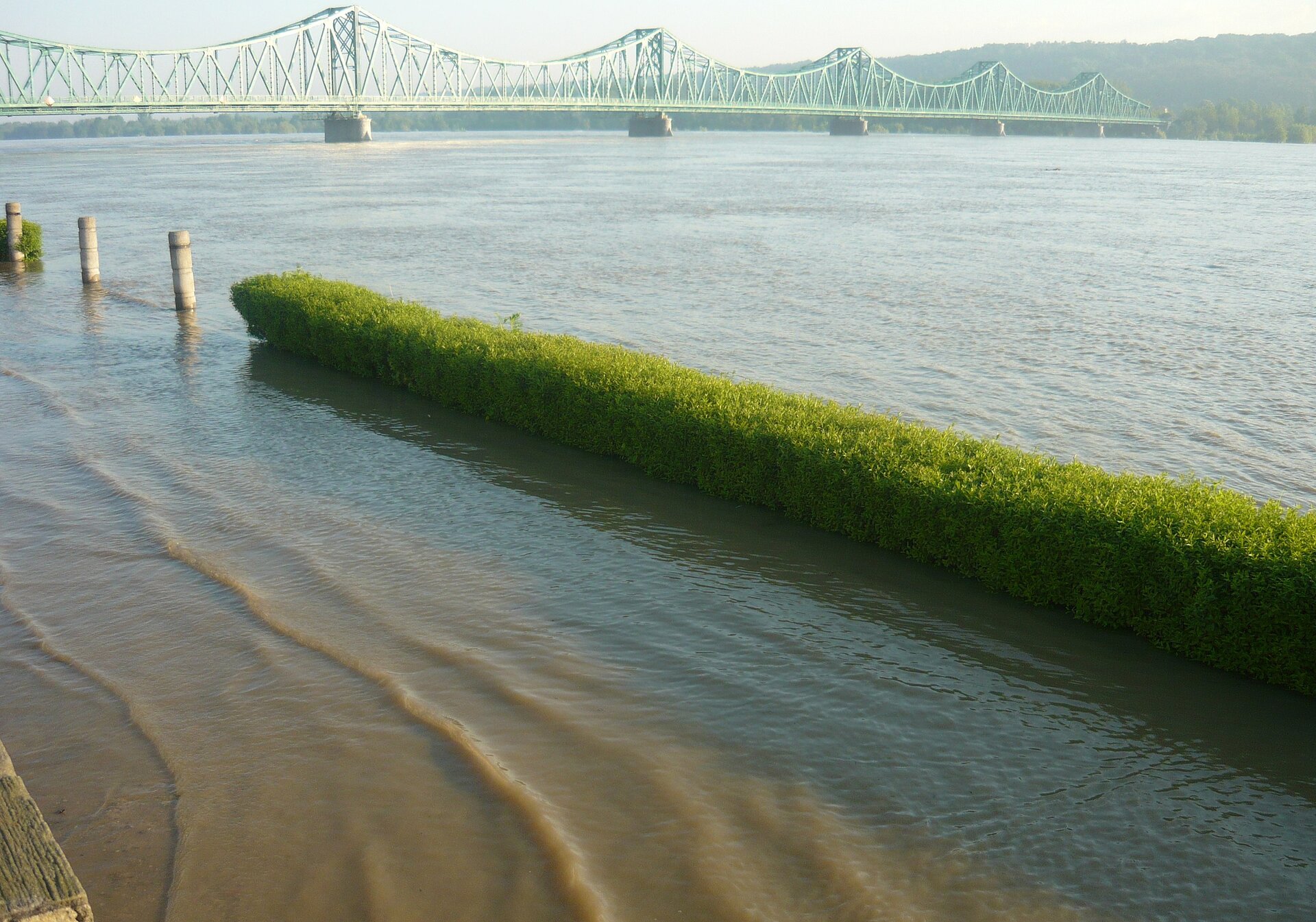 Na zdjęciu widoczna jest Wisła w okolicy Włocławka w czasie powodzi. W tle zielony most, łączenia filarów w kształcie paraboli. Bliżej obserwatora widoczna woda z rzeki, która podniosła się na tyle, że wdziera się na nadrzeczny bulwar. Zalany bulwar oddziela od rzeki zielony żywopłot wystający nieco powyżej poziomu wody.
