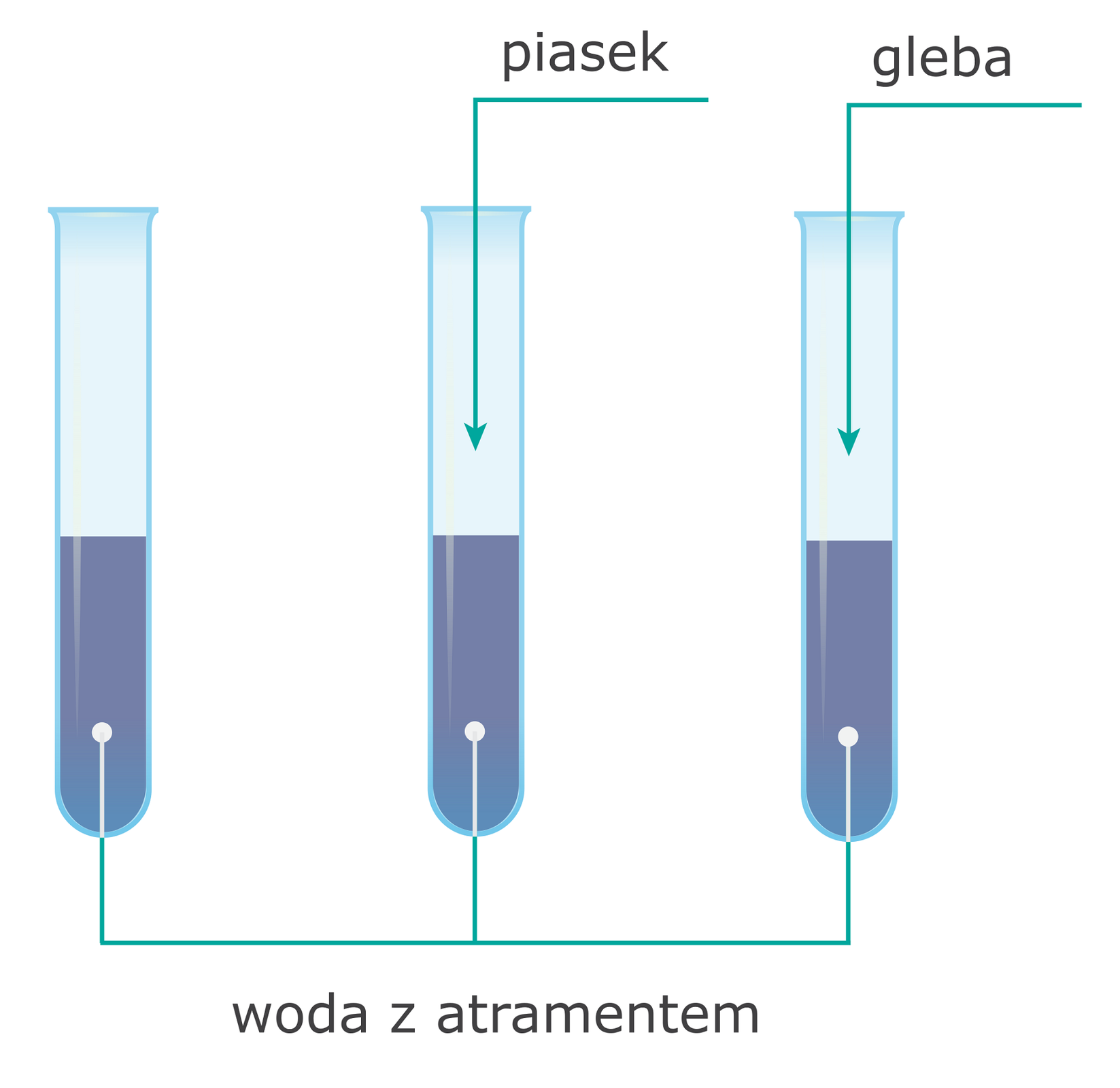 Schemat doświadczenia. Na grafice znajdują się trzy probówki. Każda z nich jest wypełniona do połowy objętości ciemnoniebieską cieczą podpisaną jako woda z atramentem. Nad drugą i trzecią probówką znajdują się strzałki z podpisami wskazujące grotami na roztwory w poszczególnych probówkach. Nad probówką numer dwa znajduje się napis: piasek. Nad probówką numer trzy znajduje się napis: gleba.