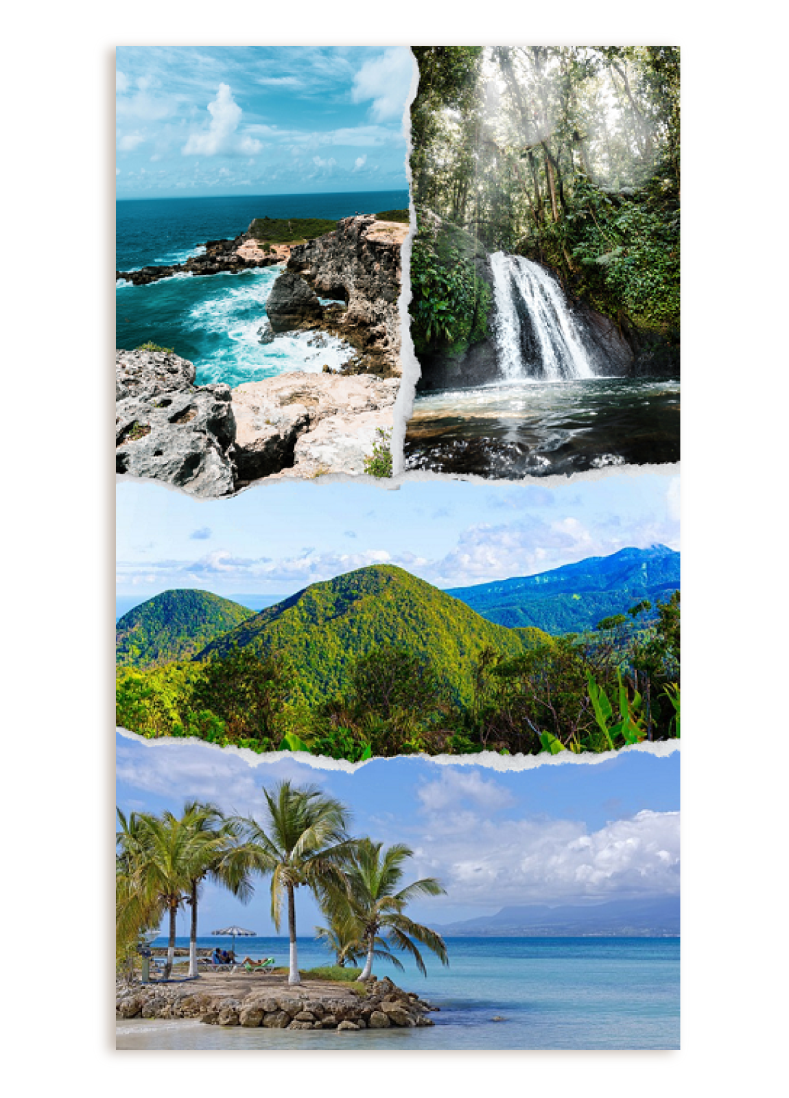 Ilustracja przedstawia tropikalne plaże, wodospady, palmy, lasy.